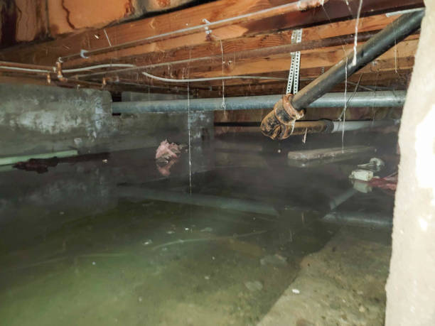 Best Water damage restoration near me  in Mayfield, OH
