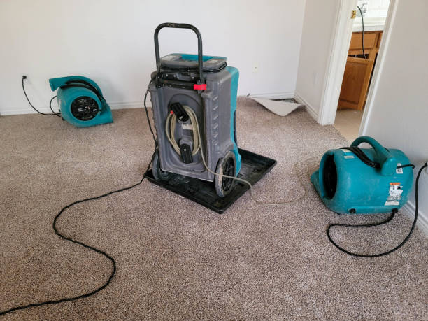 Best Ceiling water damage repair  in Mayfield, OH