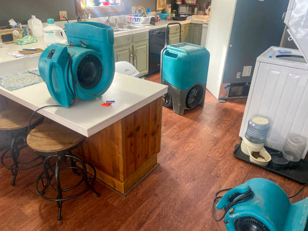 Best 24-hour water damage restoration  in Mayfield, OH