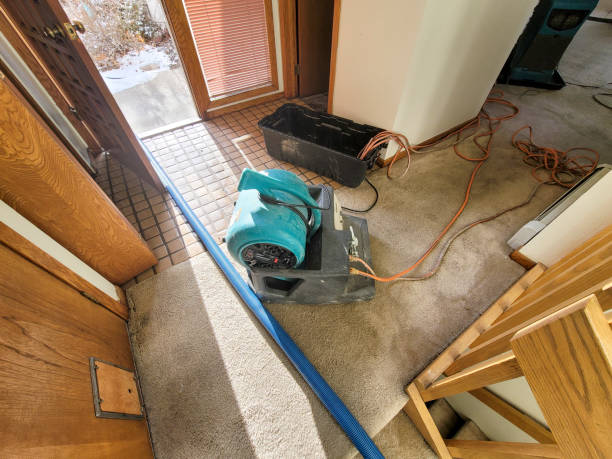 Best Basement water damage restoration  in Mayfield, OH