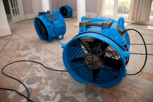 Best Mold removal after water damage  in Mayfield, OH