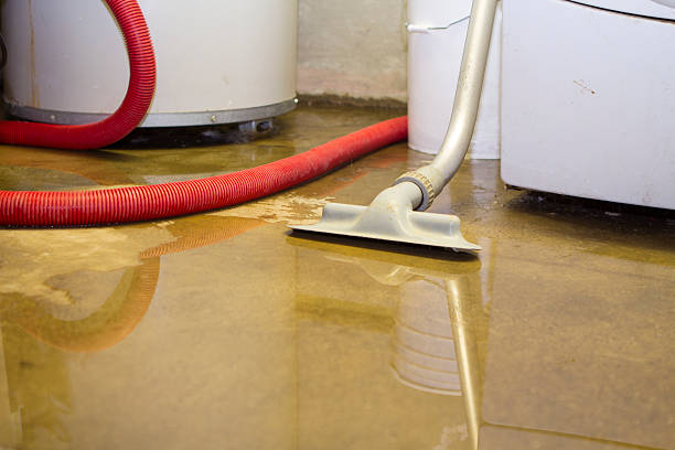 Best Water damage contractors near me  in Mayfield, OH