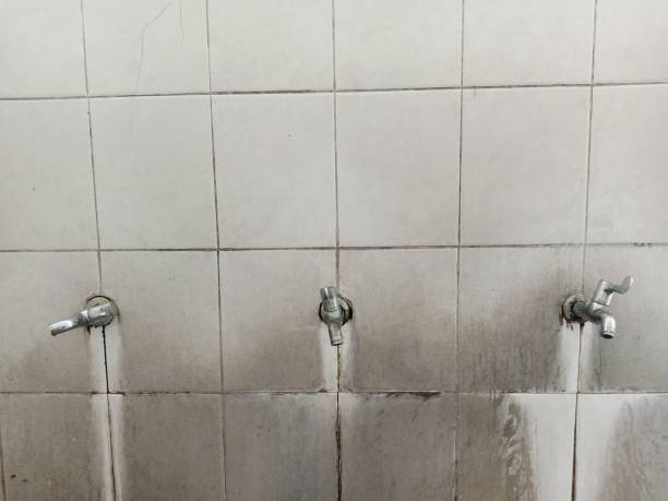 Best Flood damage cleanup  in Mayfield, OH