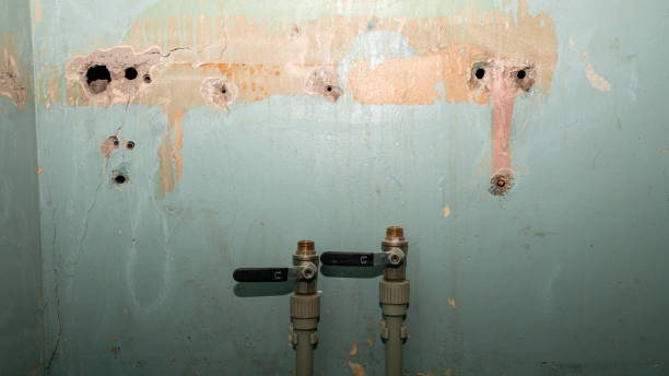 Best Mold removal after water damage  in Mayfield, OH