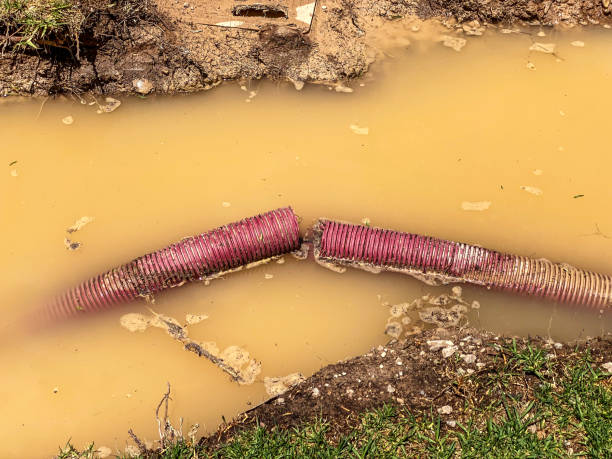 Best Water damage restoration near me  in Mayfield, OH