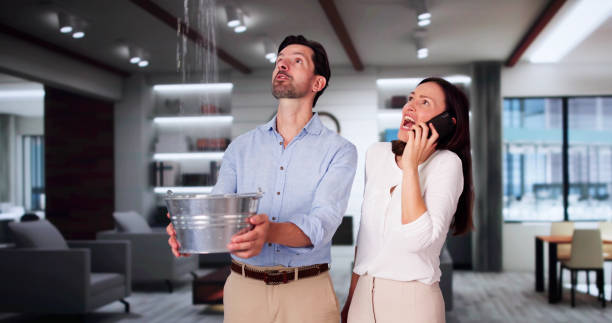 Best Water damage mitigation services  in Mayfield, OH